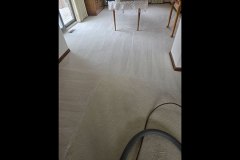 carpet-cleaning-3