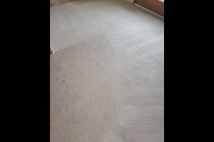 carpet-cleaning-5