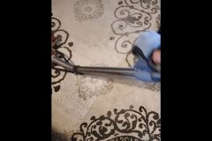 carpet-cleaning-6