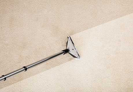 Top down view of carpet cleaning in Highland Charter Township MI.