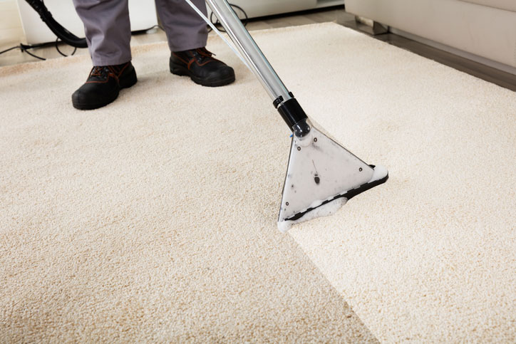 Carpet cleaner cleaning carpet in home.