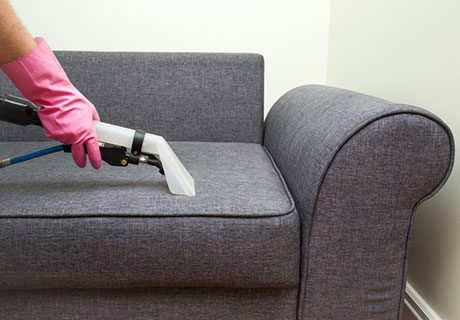 Upholstery Cleaning in Canton MI