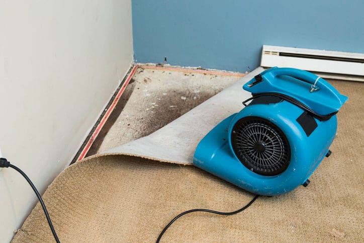 3 Reasons Why Water Damage Restoration is Important