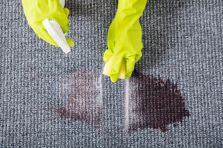 Why Carpet Odors and Stains Come Back and How You Can Stop Them