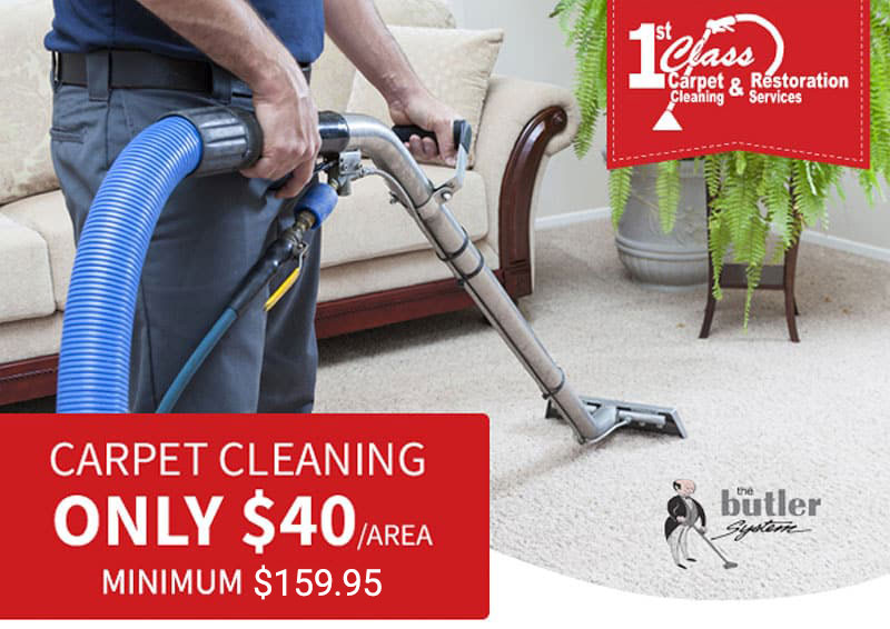 Carpet Cleaning Offer $40 per Area