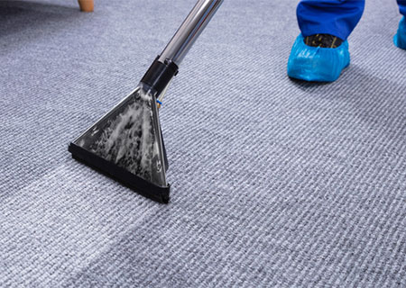 Residential Carpet Cleaning Company in Dexter MI